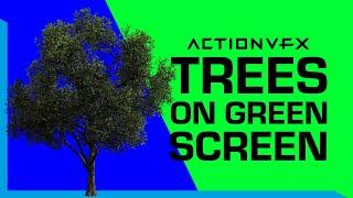 Free Green Screen Tree Effects - 8 Trees on Blue Background | ActionVFX Stock Footage