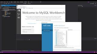 MySQL Database for Visual Studio | Getting Started