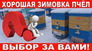 Хорошая зимовка пчёл - Выбор за Вами! | Wintering bees - the choice is yours!