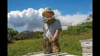 Sioux Honey Beekeeper David Thomas – Keaau, Hawaii