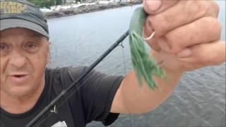 Steph's Fishin' Line- Successful Dock Fishing ,,,,here is how