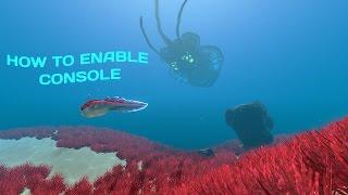 Subnautica- How to Enable Console