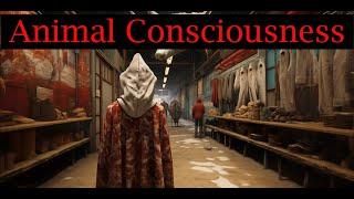 Animal Consciousness