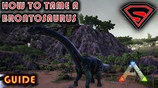ARK HOW TO TAME A BRONTOSAURUS 2020 - EVERYTHING YOU NEED TO KNOW ABOUT TAMING A BRONTOSAURUS