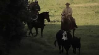 Female Cattle Rancher - PreOccupations - Elizabeth Poett