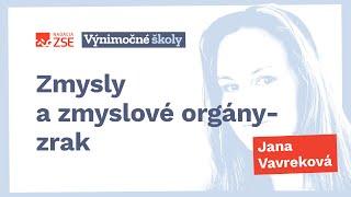 Zmysly a zmyslové orgány - zrak (Jana Vavreková)