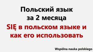 Польский язык за 2 месяца | SIĘ в польском языке и как его использовать