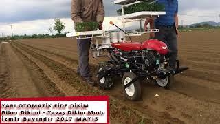 Yanmar PH-1 Fide Dikim Makinesi - Biber Dikimi