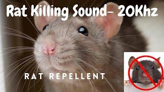 Anti Rat Repellent | Mouse Killer Sound | Very High Pitch Sound | 20Khz | Kill Rats using mobile