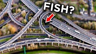 Do Fish Live Under the UK's BIGGEST Interchange?