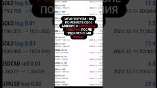 Мультивалютный торговый робот WINKAI для Форекс заменит всех роботов 