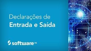 Declarações de Entrada e Saída