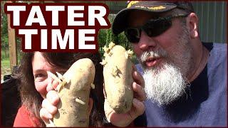 Potato Buckets | Bucket Garden Potatoes