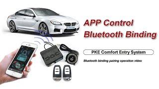 PKE Comfort Entry System APP Control Binding Operation