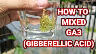 How to mix GA3 | Gibberellic Acid Application