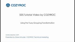 Using the Fuzzy Grouping Transformation - SSIS tutorials for Beginners by COZYROC