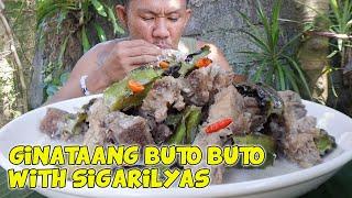 PORK GINATAAN NA MAY SIGARILYAS