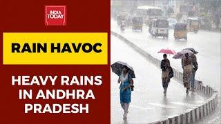Monsoon Mayhem In Andhra Pradesh, IMD Predicts More Heavy Rains; Here's Why