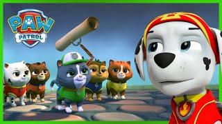 Pups Save a Secret Scroll!  - PAW Patrol Rescue Episode - Cartoons for Kids!