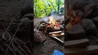 Fire in the Rain #fire #rain #asmr #camping #outdoors #satisfying #campfire