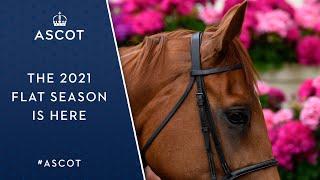 Ascot 2021 Flat Season