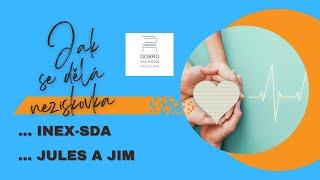 ONLINE DOBROAKADEMIE | Jak se dělá neziskovka  | INEX-SDA a Jules a Jim #dobrovolnictvi #ngo