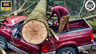 Dangerous Fastest Idiots Cutting Tree Fails Skill With Chainsaw | Tree Falling on Houses #16