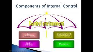 Components of internal control systems l Control Environment explained