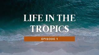 Life In The Tropics   Episode 1