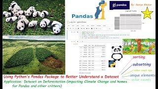 Python Pandas Dataset Analysis: Sorting, Subsetting, Unique Elements, Value Counts, and beyond!