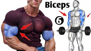 6 Bicep Workout At Gym You Shouldn't Skip - Biceps Workout