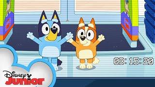 Bluey Season 3 Episode 45 "TV Shop" Episode Clip | @disneyjr x @BlueyOfficialChannel