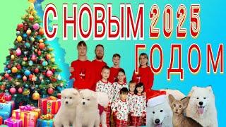 С НОВЫМ 2025 ГОДОМ  #многодетные #большаясемья #сновымгодом #2025 #усыновление #праздник #рецепты