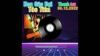 Hoa Cúc Dại - Tóc Tiên [THANH SÓI OST]