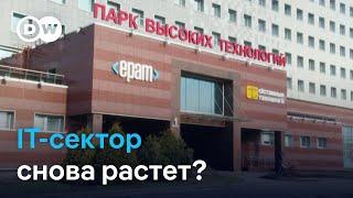 IT-сектор в Беларуси: восстановится ли до прежнего уровня?