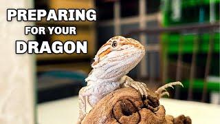 New Bearded Dragon Checklist // Feeding, Housing, Lighting - For Beginners