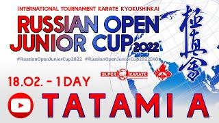 «Russian Open Junior Cup - 2022». ТАТАМИ А  (1 день)