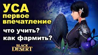 УСА: Скилы, фарм и первые впечатления - НЕ гайд в BDO - Black Desert (MMORPG)