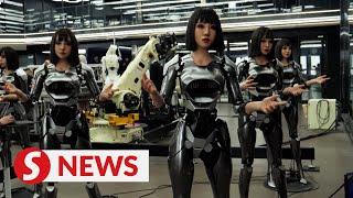 Humanoid robots come to life in Chinese factory