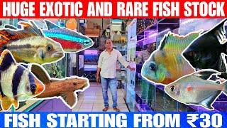 Huge Exotic And Rare Fish Stock | FISH START FROM ₹30 | Aakar Aquarium Fish Shop Borivali