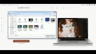 Free online video converter