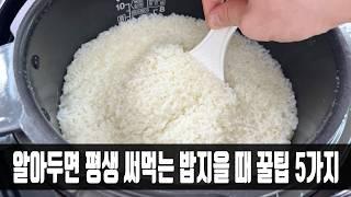 알아두면 평생 써먹는 쌀 꿀팁 5가지, 전문가가 방법을 알려줘 너무 감사하네요