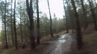 Cannock Chase Forest Commission (Follow the Dog 1 of 3)