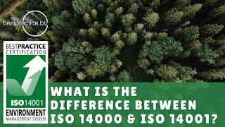 What Is The Difference Between ISO 14000 & ISO 14001?