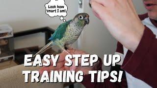 Easy Parrot Step Up Tips | Parrot Training Essentials | TheParrotTeacher