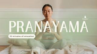 Pranayama Mystery: How to do Pranayama|steps for beginners #meditation #pranayama #tutorial