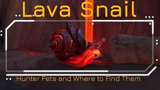 Lava Snail - Hunter Pets - Where to find it in World of Warcraft - Dragonflight - ep 33