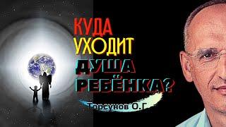 Куда УХОДИТ душа ребёнка? Торсунов лекции