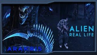 Alien Real Life | ARAKRIS