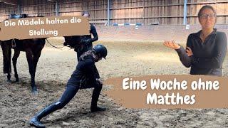 Einen Tag ohne Matthes im Stall - die Mädels halten die Stellung